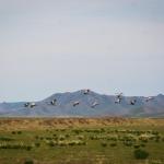 БЕБАҲО БОЙЛИГИМИЗ