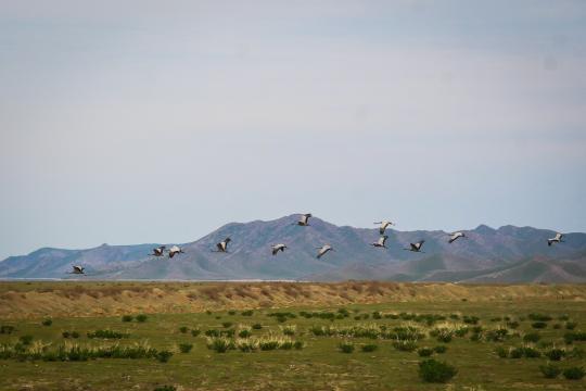 БЕБАҲО БОЙЛИГИМИЗ