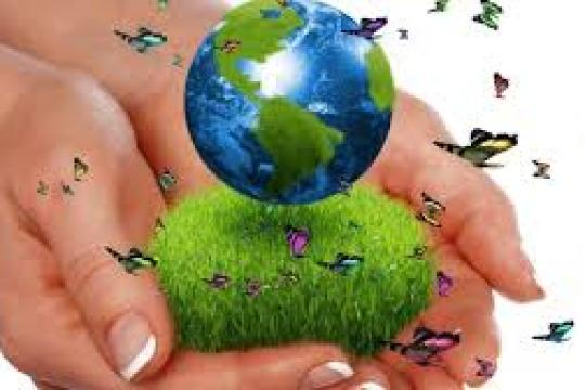 ЭКОЛОГИК МАДАНИЯТ НИМА УЧУН КЕРАК?