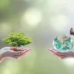 ЖАВОБГАРЛИК  ЯНАДА  КУЧАЙДИ