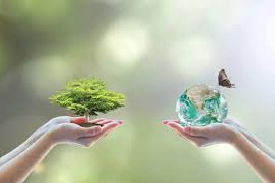 ЖАВОБГАРЛИК  ЯНАДА  КУЧАЙДИ