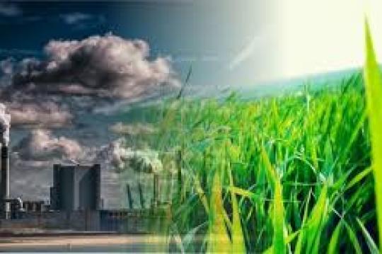 ТАРҒИБОТ ТАЪСИРЧАН БЎЛИШИ ЛОЗИМ