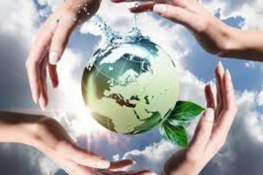 БАЛИҚЛАР ДАРЁГА ҚАЙТАРИЛДИ