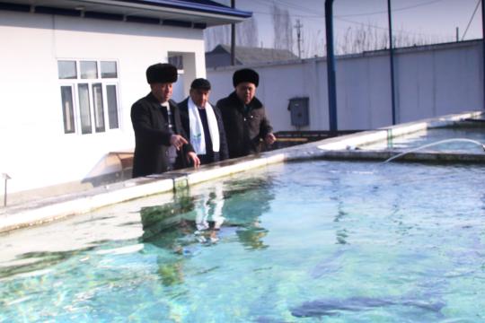 ХАЛҚ  ИШОНЧИ  ЮКСАК МАСЪУЛИЯТ