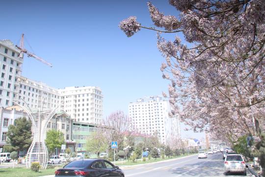 ГУЛГА ТЎЛГАН АНДИЖОН