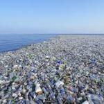 ЯПОНЛАРДАН ЯХШИ ЯНГИЛИК