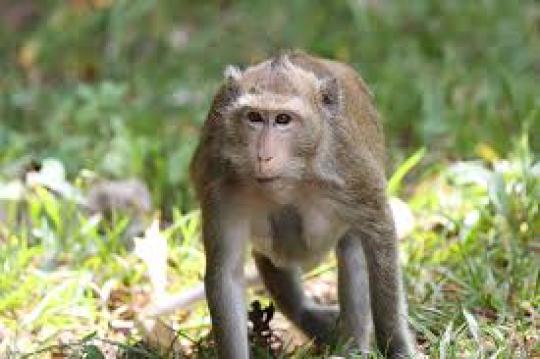 БУГУН – ХАЛҚАРО ИҚЛИМ КУНИ