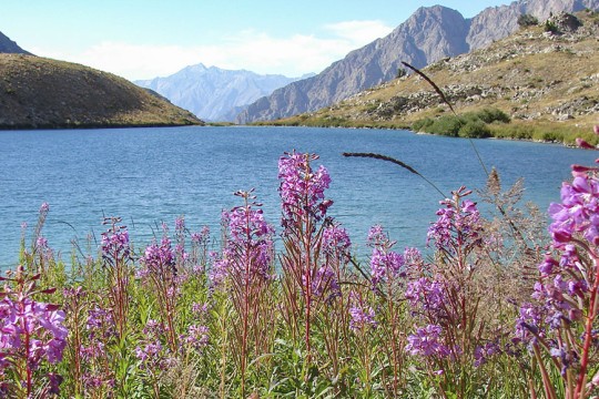 ҲАР НЕЪМАТНИНГ ҲИСОБИ БОР