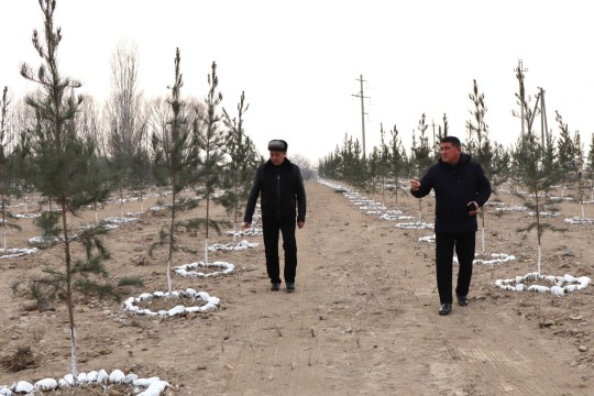 ҲАР  БИР  КЎЧАТ  ҲИСОБДА БЎЛАДИ