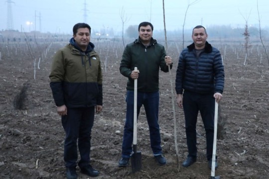 ЯШИЛЛИК  ДУНЁНИ ҚУТҚАРАДИ