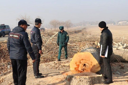 ҚОНУНБУЗАРЛИК ЖАВОБСИЗ ҚОЛМАЙДИ