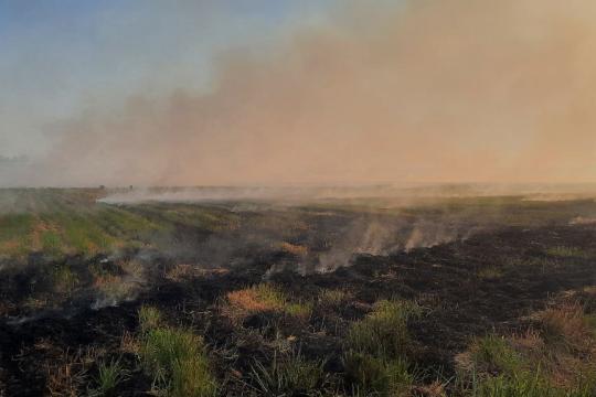 МУРОЖААТНИ МЕНСИМАГАН МАНСАБДОРЛАР