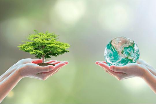 ТАБИАТНИ АСРАШ – ТИРИКЛИКНИ АСРАШ ДЕМАКДИР