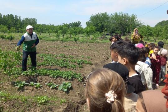 ТАБИАТ ҚЎЙНИГА САЁҲАТ