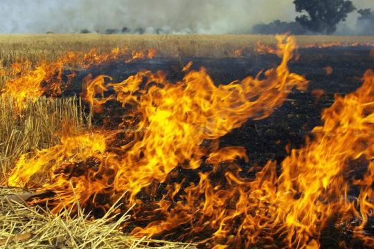 СОМОННИ ЁҚМАНГ, ЖАВОБГАР БЎЛАСИЗ