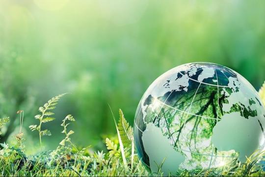 ТАБИАТ ҲИМОЯСИ – МУҚАДДАС БУРЧ